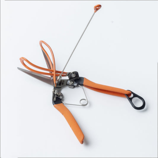 Saboten AG-21 Harvesting Shears – Special Asparagus with Capture System