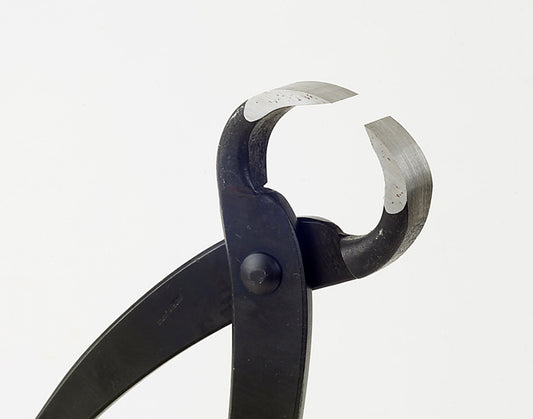 Ciseaux à Racines Japonais Bonsaï (Grand Modèle 270 mm) – Root Cutter Précision