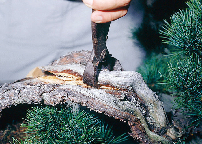 Japanese Bonsai Trunk Splitter (Large Model 270mm) – Jin & Shari Splitter