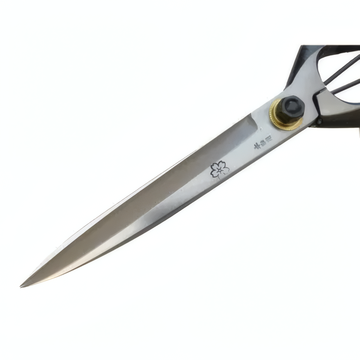 Ciseaux Japonais de Taille SAKURA 270mm – Modèle Fin (Sans Garde)