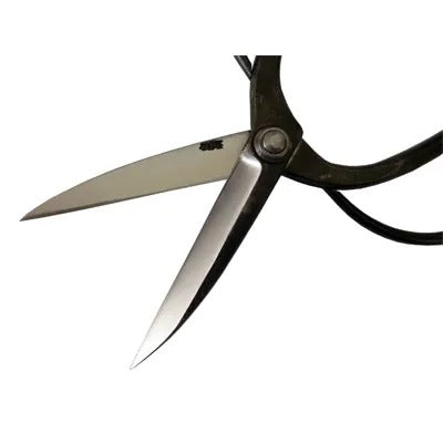 Ciseaux de Jardin Japonais HASAMIYA ICHIBAN – Sécateur Sasuke Amélioré 230 mm Acier Yasuki White Steel