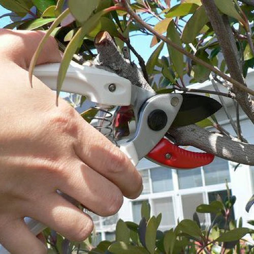 Sécateur Japonais à Enclume ARS Mini Ace 133DX-W | Coupe Facile 15 mm