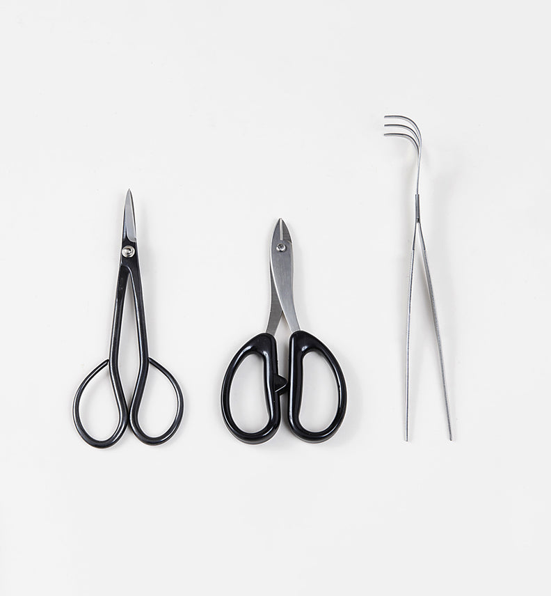 Kit Bonsaï Débutant – Set 3 Outils Essentiels (Taille, Ligature, Entretien)