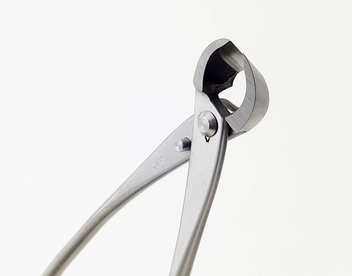 Pince Concave Bonsaï Inox – Coupe des Branches (2 Tailles : 165 mm et 205 mm)
