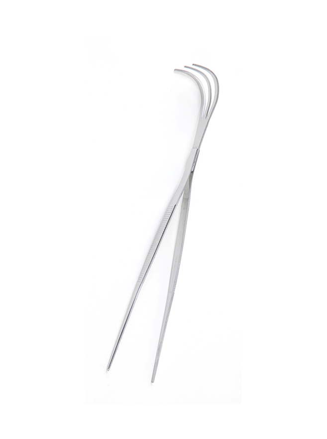 Pincette Bonsaï Inox 220 mm avec Râteau – Entretien et Rempotage