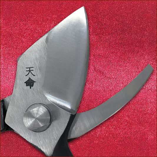 Sécateur japonais Tenmei LL 180 mm – Yasuki Steel forgé main, professionnel arboriculture