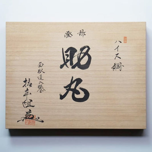 Jeu de ciseaux japonais d’ébénisterie 10 pièces – Acier HSS (High Speed Steel)