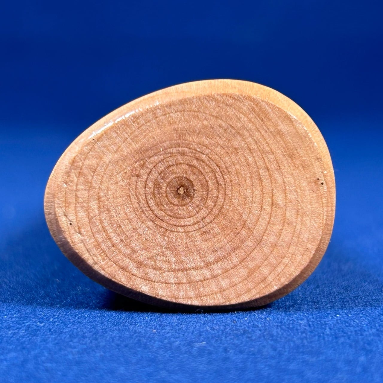 Manche de marteau japonais en bois Hisakaki 364 mm – Bois brillant et résistant TM Kondo