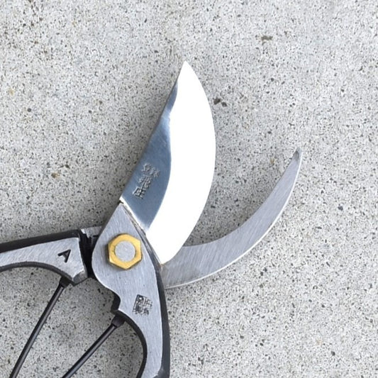 Sécateur japonais Tobisho A 230 mm – Acier Yasuki – Professionnel forgé main