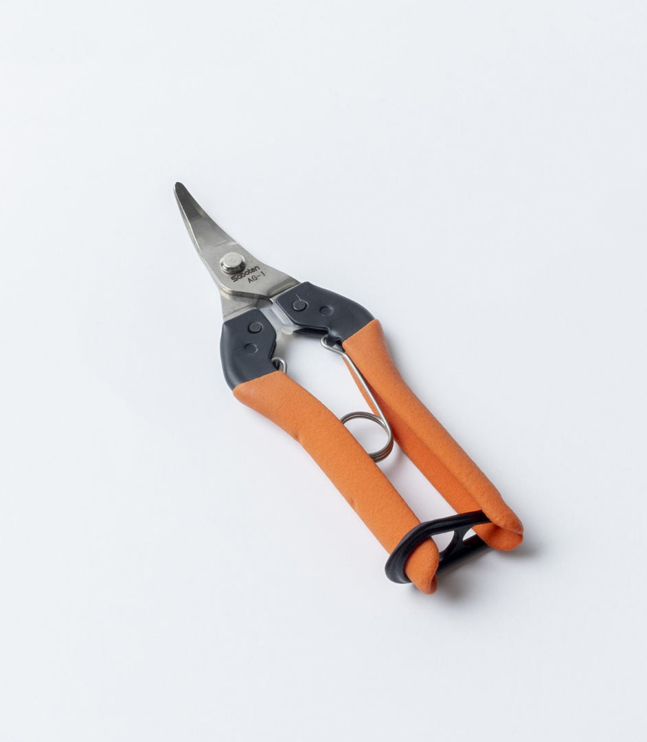 Saboten AG Ciseaux de Récolte Japonais – Lame Courbée Fruits & Légumes