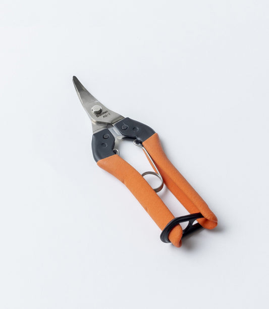 Saboten AG Ciseaux de Récolte Japonais – Lame Courbée Fruits & Légumes