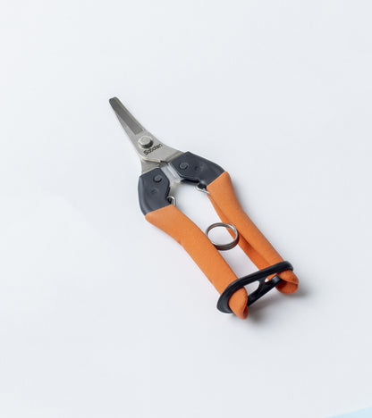 Saboten AG Ciseaux de Récolte Japonais – Lame Courbée Fruits & Légumes