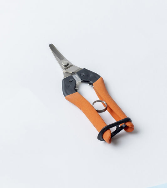 Saboten AG Ciseaux de Récolte Japonais – Lame Courbée Fruits & Légumes