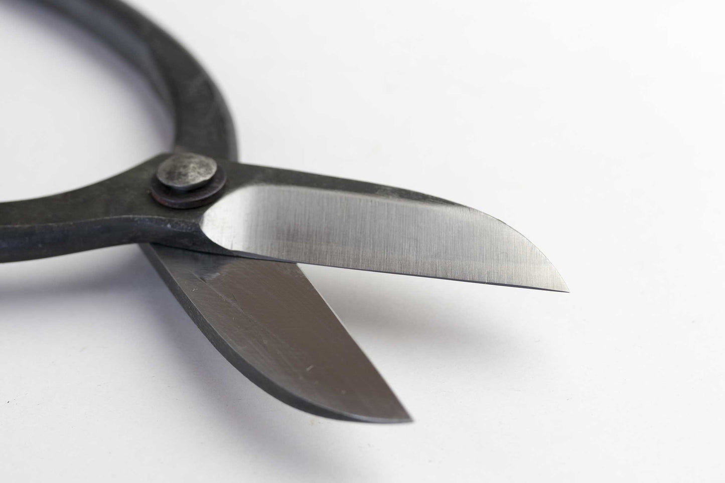 Ciseaux japonais noirs pour fleurs – Aogami n°2 – 165 mm ou 180 mm – Forgés main