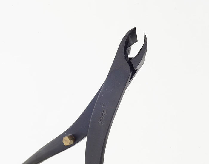 Ciseaux Bonsaï pour Pincement des Bourgeons – Coupe Précise (170 mm)