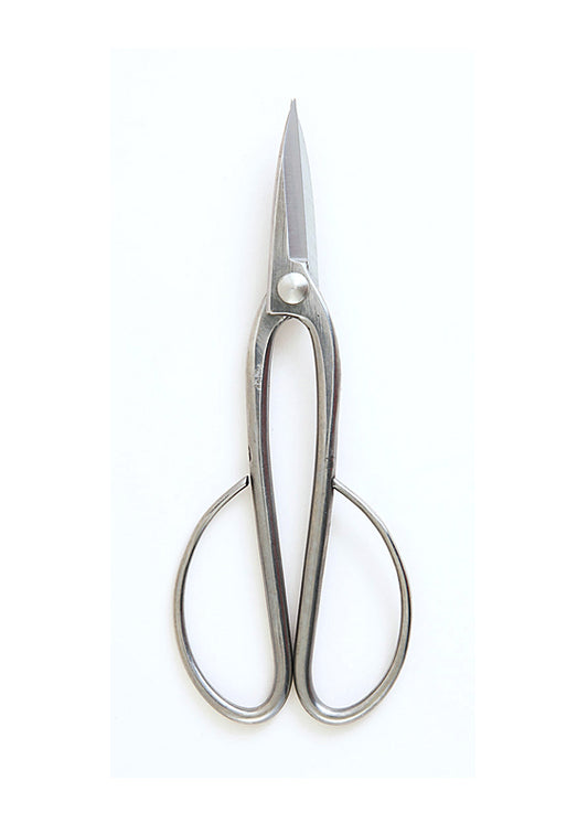 Ciseaux Bonsaï Inox 210 mm – Taille et Entretien Précis