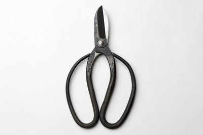 Ciseaux japonais Koryu pour Ikebana – Acier Aogami n°2 – Outil traditionnel art floral