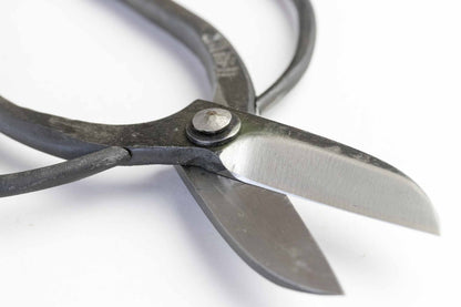 Ciseaux japonais Koryu pour Ikebana – Acier Aogami n°2 – Outil traditionnel art floral