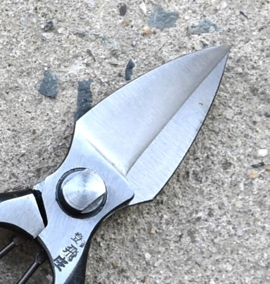 Ciseaux japonais Tobisho pour ail et taille de daisugi – 180 mm, forge intégrale