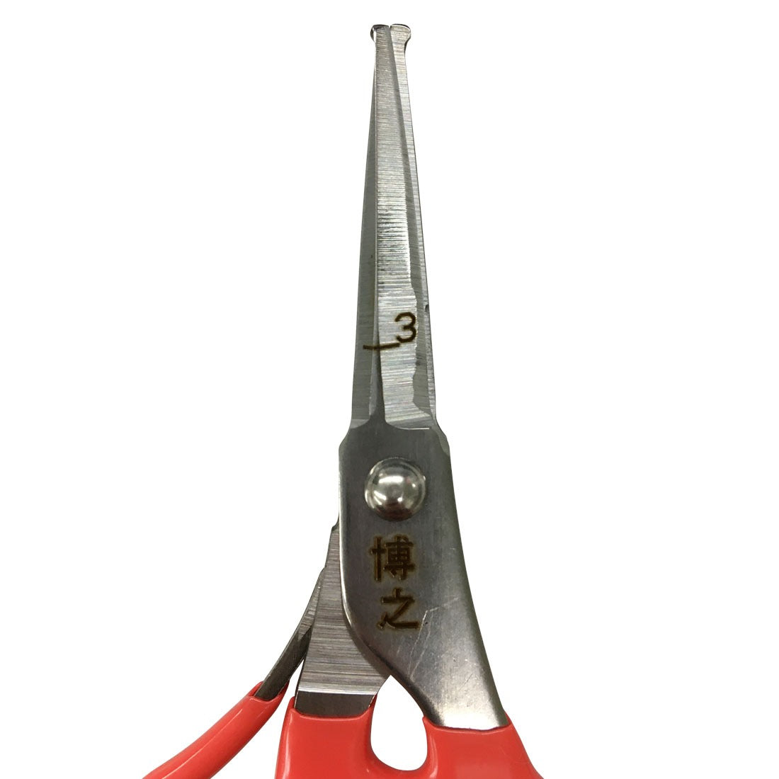 Ciseaux Japonais de Récolte – Raisin et Légumes (Lame Droite 150 mm)