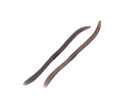 Jackall Flick Shake 500 high-density soft bait – soft lure for black bass