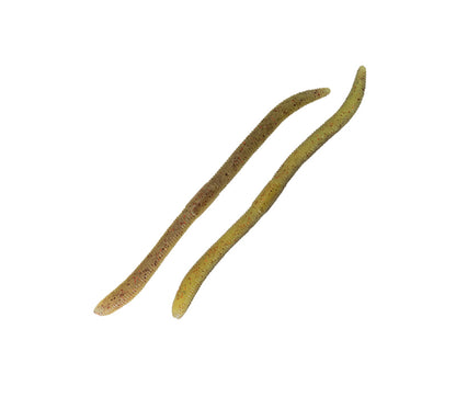 Jackall Flick Shake 500 high-density soft bait – soft lure for black bass