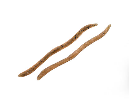 Jackall Flick Shake 500 high-density soft bait – soft lure for black bass