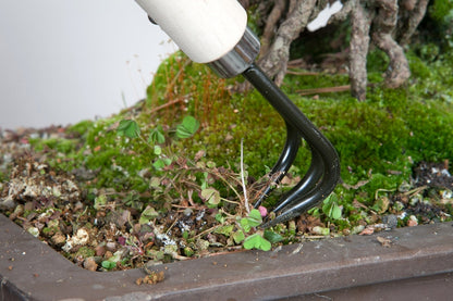 Griffe Désherbage Bonsaï 3 Dents – Retrait Racines et Mauvaises Herbes