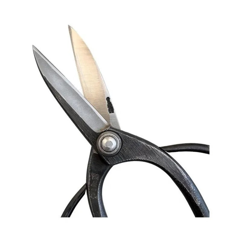 Ciseaux de Jardin Japonais HASAMIYA ICHIBAN – Sécateur Sasuke Amélioré 210 mm Acier Yasuki Blue Steel