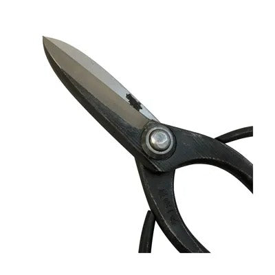 Ciseaux de Jardin Japonais HASAMIYA ICHIBAN – Sécateur Sasuke Amélioré 200 mm Acier Yasuki White Steel