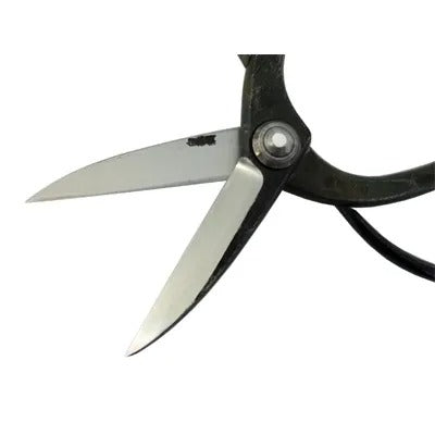 Ciseaux de Jardin Japonais HASAMIYA ICHIBAN – Sécateur Sasuke Amélioré 210 mm Acier Yasuki White Steel