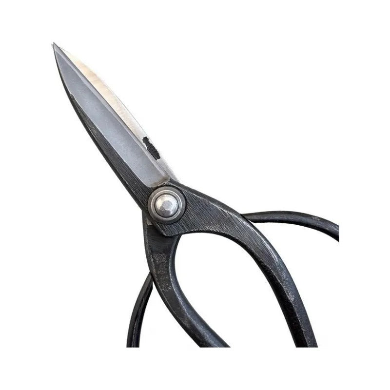 Ciseaux de Jardin Japonais HASAMIYA ICHIBAN – Sécateur Sasuke Amélioré 210 mm Acier Yasuki Blue Steel