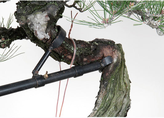 Levier Japonais Professionnel pour Cintrage de Branches Bonsaï – Outil de Mise en Forme 710 mm
