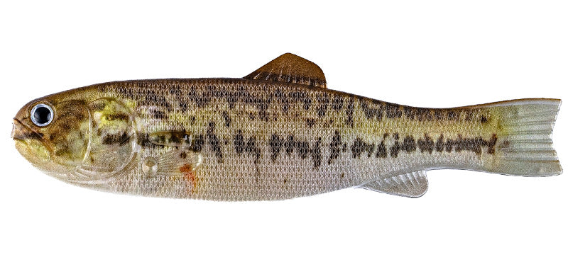 Imakatsu BASSWORM 145 – Leurre souple en forme de bass, concept inédit