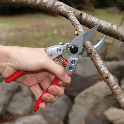 Sécateur Japonais à Enclume ARS VA-8Z 205 mm | Coupe Branches 25 mm