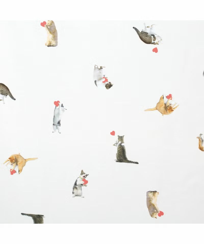 Parapluie Pliable Léger Chats Umbre-Nyan Masayuki Oki × Wpc.