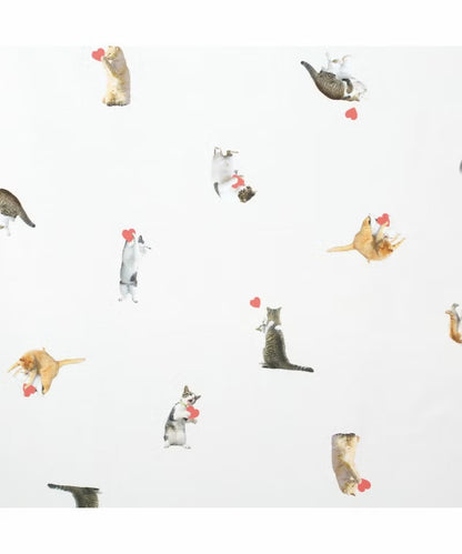Parapluie Pliable Léger Chats Umbre-Nyan Masayuki Oki × Wpc.