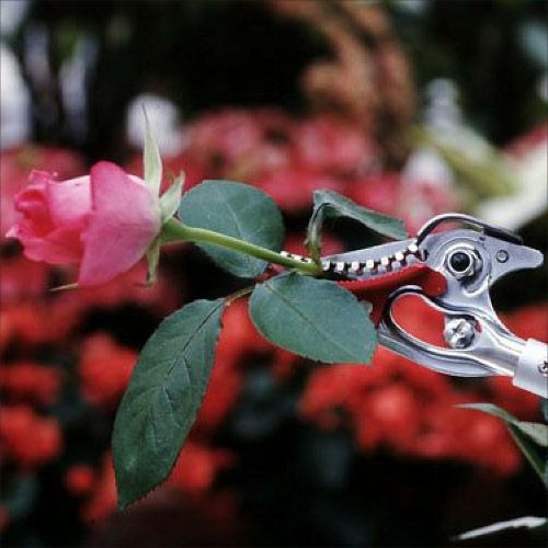 ARS Mini Ace 133DX-W Japanese Anvil Pruner | Easy Cut 15mm (Copy)