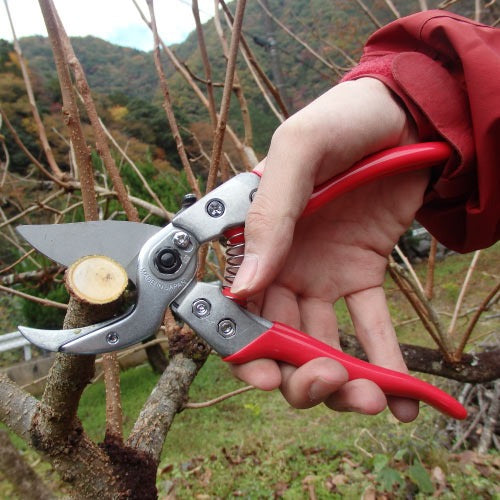 Sécateur Japonais à Enclume ARS VA-8Z 205 mm | Coupe Branches 25 mm
