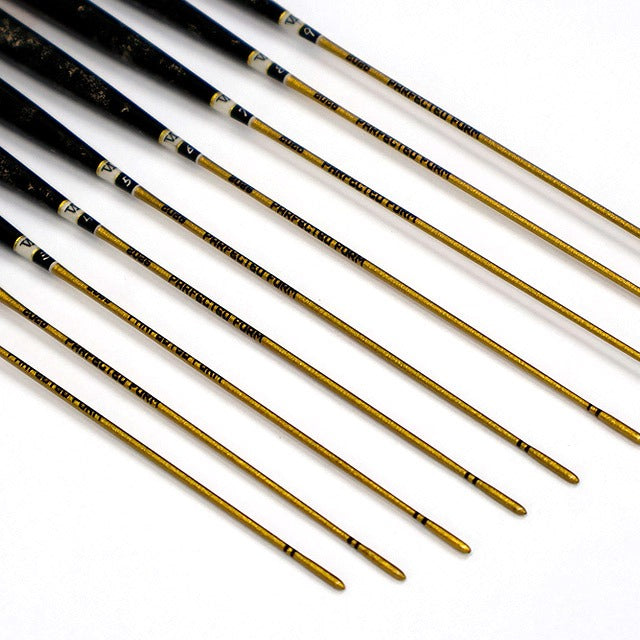 Cruzian Stride VI Black Marble 2026 DAG – Flotteur japonais Hera Ryodan Go