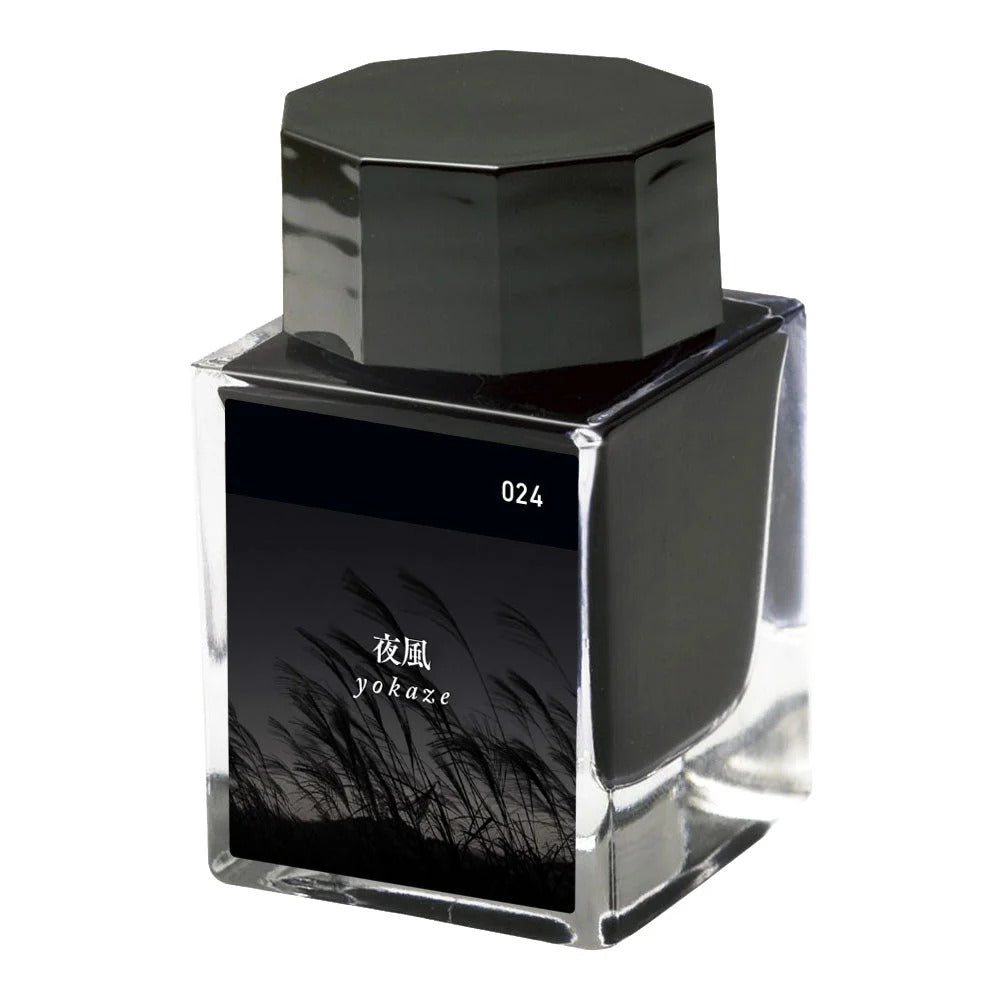 Stylo-plume Sailor en ébonite gravée – Plume or 21 carats