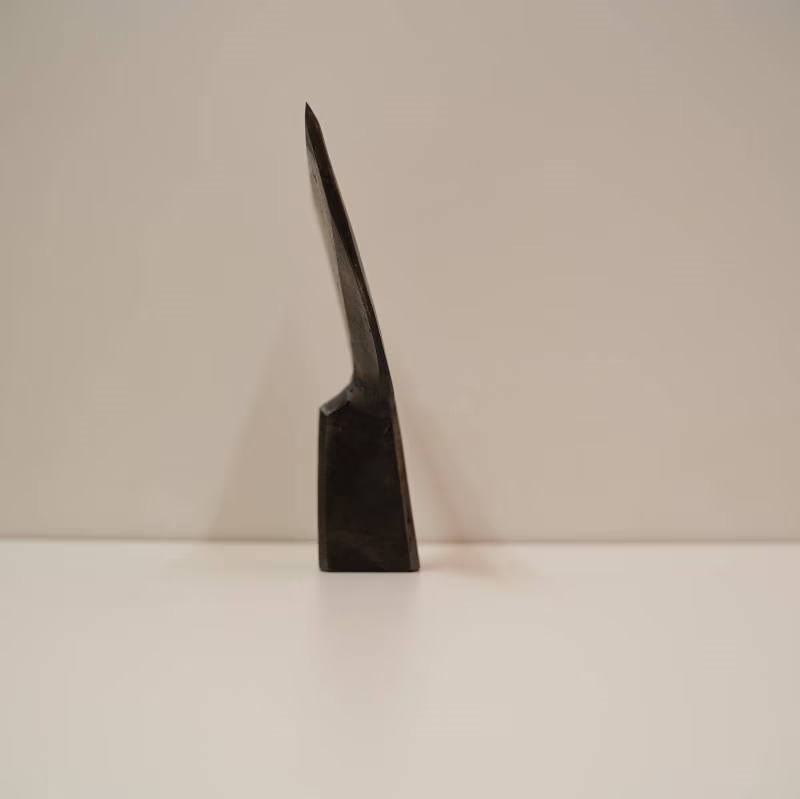 Chouna Japonais Lame Plate 120 mm – Outil de Charpentier Traditionnel – Kagetora Yoritoshi