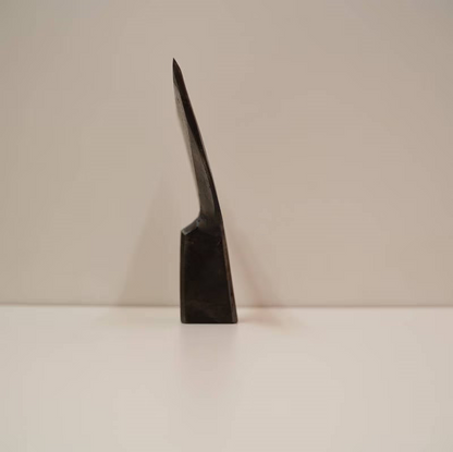Chouna Japonais Lame Plate 120 mm – Outil de Charpentier Traditionnel – Kagetora Yoritoshi