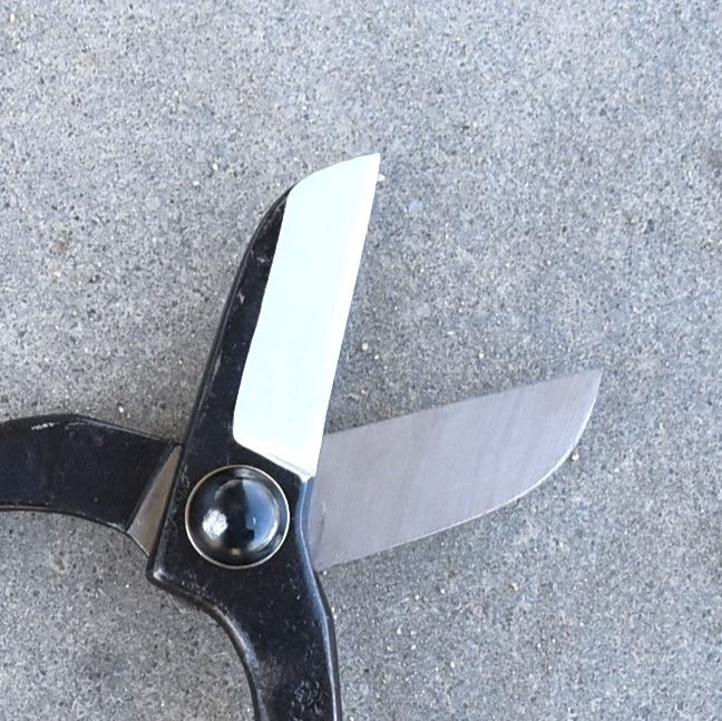 Ciseaux japonais pour fleurs fraîches Masamune – 50 mm – Acier Blue Paper Steel