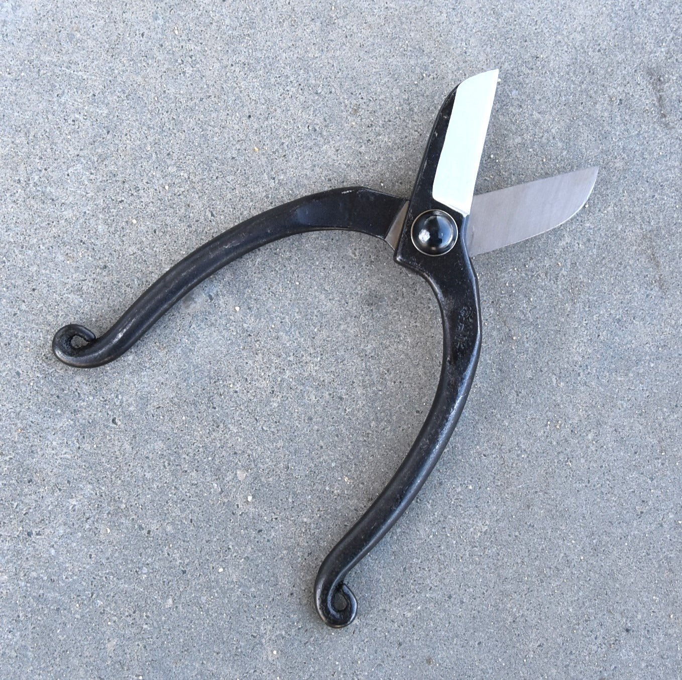 Ciseaux japonais pour fleurs fraîches Masamune – 50 mm – Acier Blue Paper Steel