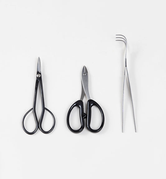 Kit Bonsaï Débutant – Set 3 Outils Essentiels (Taille, Ligature, Entretien)