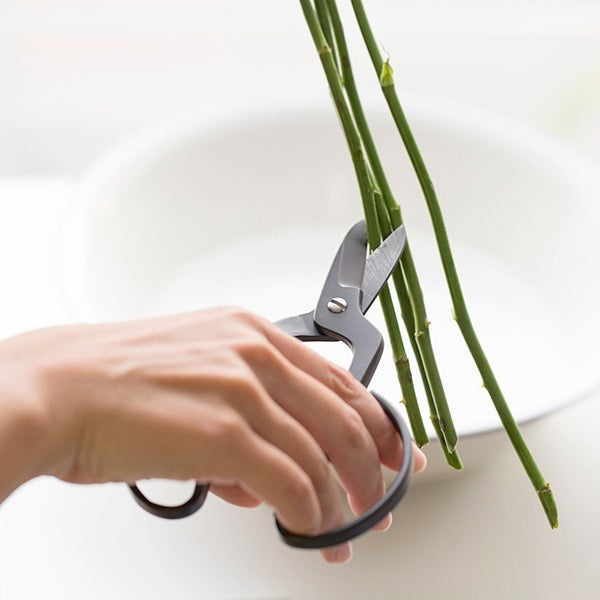 Ciseaux à Fleurs Japonais Forgés – Kobayashi FLORIST HARVESTER | Acier Traditionnel Sanjo