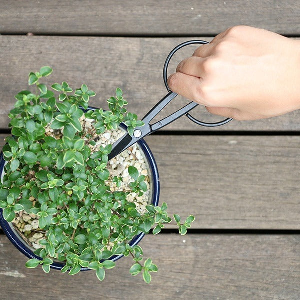 Ciseaux japonais de récolte Kobayashi HARVESTER – Acier forgé – Made in Japan