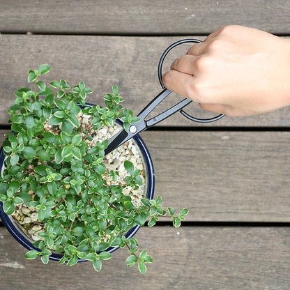 Ciseaux japonais de récolte Kobayashi HARVESTER – Acier forgé – Made in Japan