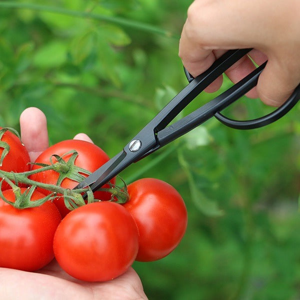 Ciseaux japonais de récolte Kobayashi HARVESTER – Acier forgé – Made in Japan